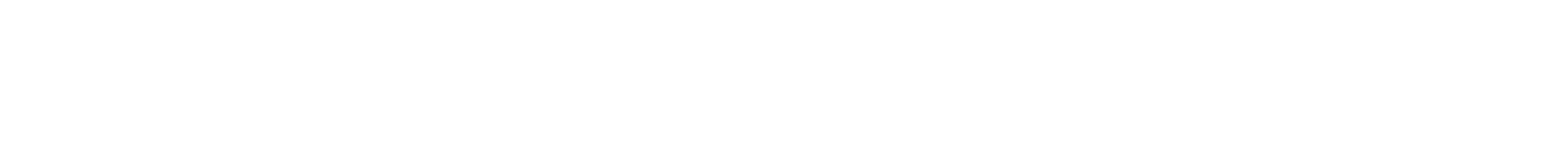Sennebogen Logo